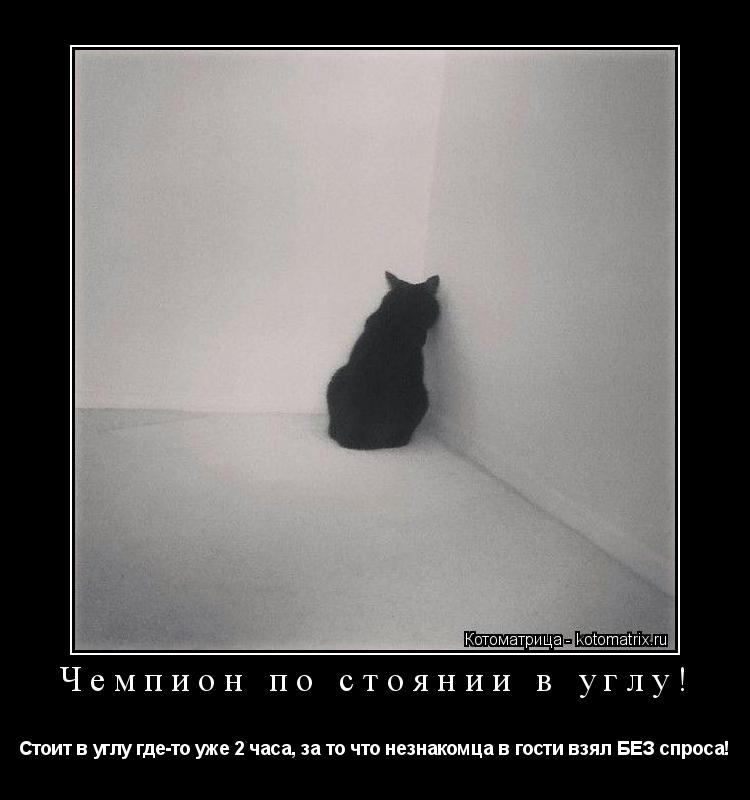 Котоматрица: Чемпион по стоянии в углу! Стоит в углу где-то уже 2 часа, за то что незнакомца в гости взял БЕЗ спроса!