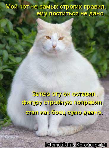 Котоматрица: Затею эту он оставил, Мой кот не самых строгих правил,  ему поститься не дано. стал как боец сумо давно. фигуру стройную поправил,