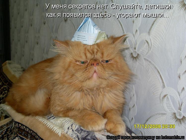 Котоматрица: У меня секретов нет. Слушайте, детишки: как я появился здесь - угорают мышки...