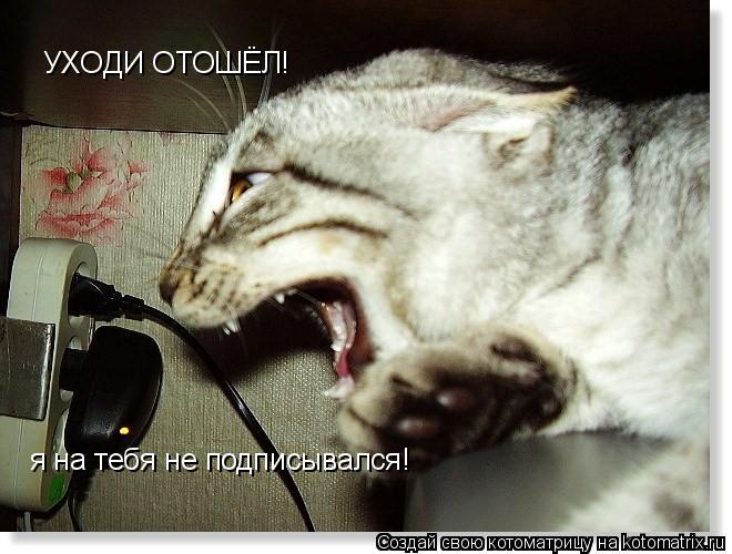 Котоматрица: УХОДИ ОТОШЁЛ! я на тебя не подписывался!