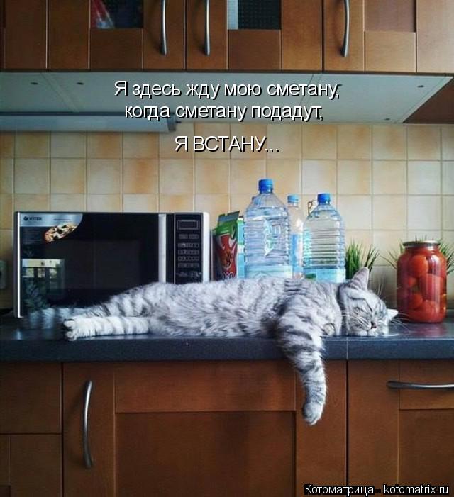 Котоматрица: Я здесь жду мою сметану, когда сметану подадут,  Я ВСТАНУ...