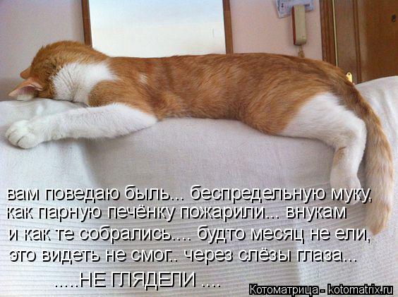 Котоматрица: как парную печёнку пожарили... внукам вам поведаю быль... беспредельную муку, и как те собрались.... будто месяц не ели, это видеть не смог.. чер