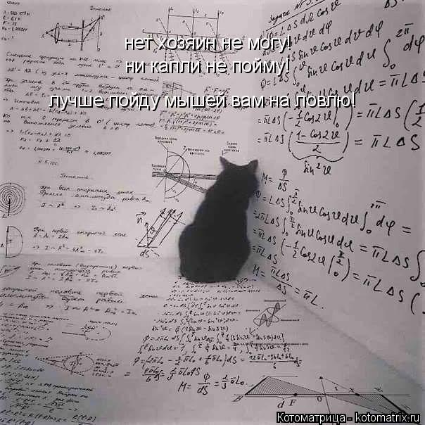 Котоматрица: ни капли не пойму! лучше пойду мышей вам на ловлю! нет хозяин не могу!