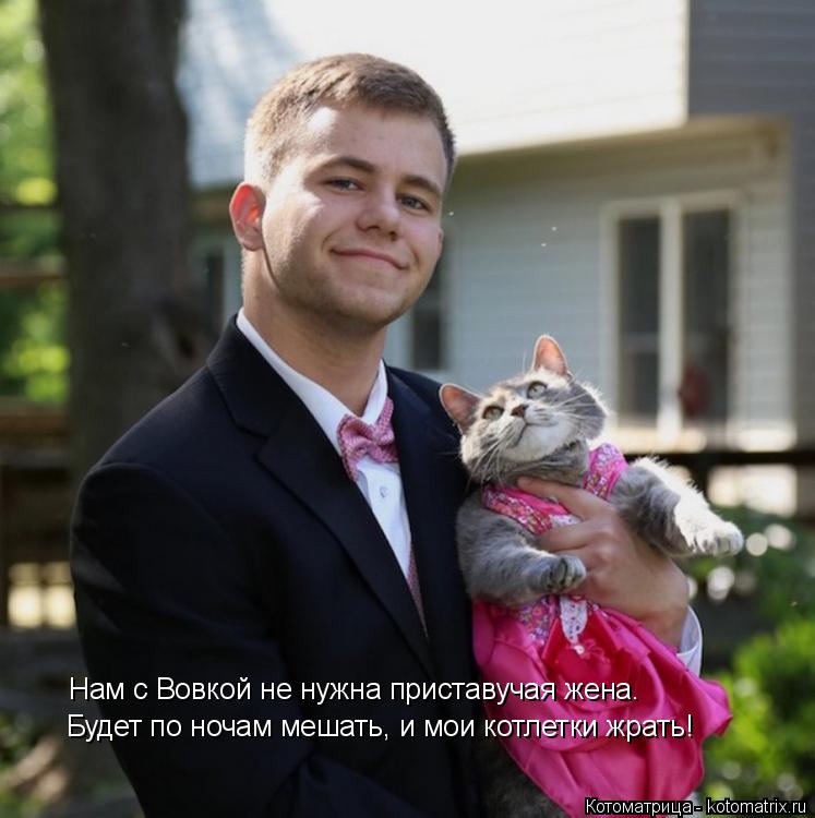 Котоматрица: Нам с Вовкой не нужна приставучая жена. Будет по ночам мешать, и мои котлетки жрать!