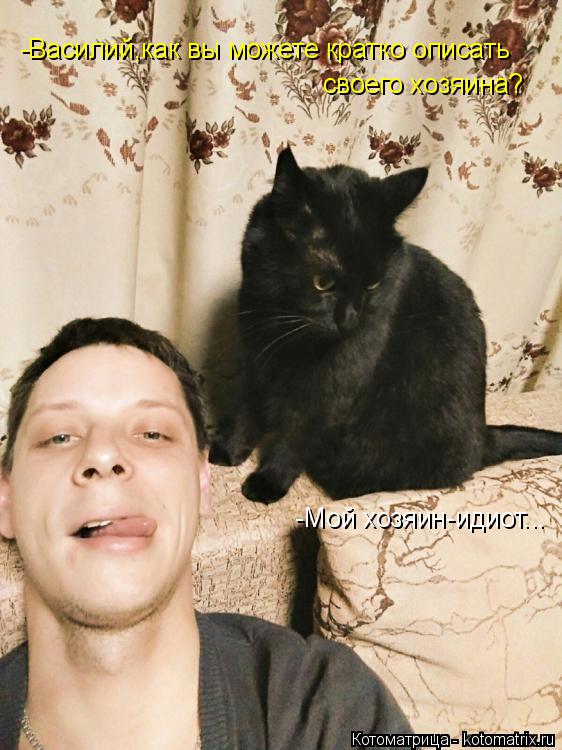 Котоматрица: -Василий,как вы можете кратко описать своего хозяина? -Мой хозяин-идиот...