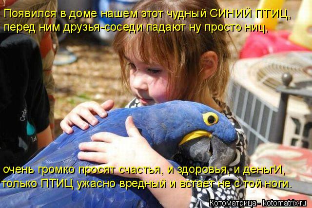 Котоматрица: Появился в доме нашем этот чудный СИНИЙ ПТИЦ,  перед ним друзья-соседи падают ну просто ниц, очень громко просят счастья, и здоровья, и деньг