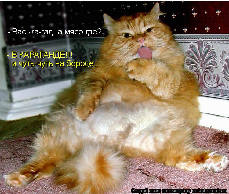 Котоматрица: - Васька-гад, а мясо где? - В КАРАГАНДЕ!!! и чуть-чуть на бороде...