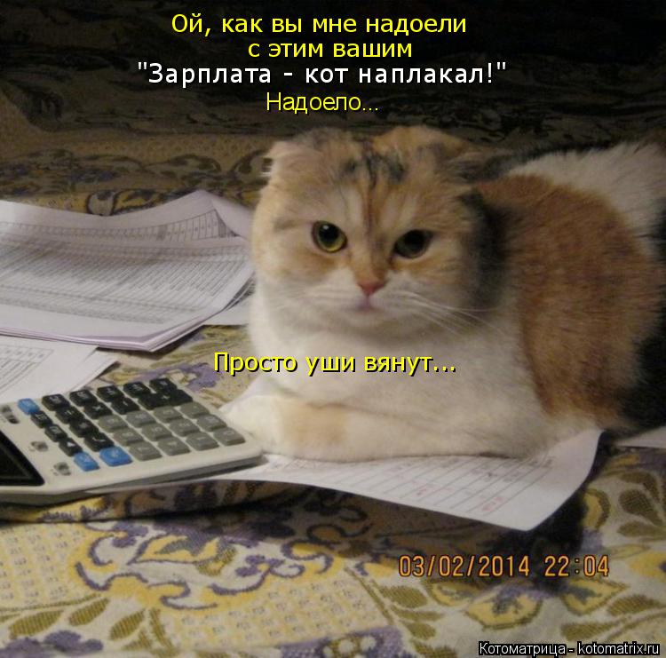 Ой, как вы мне надоели с этим вашим "Зарплата - кот наплакал!" Просто уши вянут... Надоело...... Котоматрица: Ой, как вы мне надоели с этим вашим "Зарплата - кот наплакал!" Просто уши вянут... Надоело...
