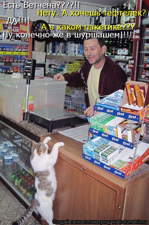 Котоматрица: Есть Ветчена????!! Нету. А хочешь тефтелек? ДА!!!! А в каком пакетике??? Ну конечно же в шуршашем!!!!!