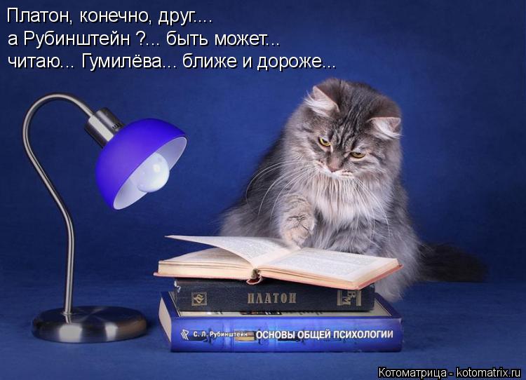 Котоматрица: Платон, конечно, друг.... а Рубинштейн ?... быть может... читаю... Гумилёва... ближе и дороже...