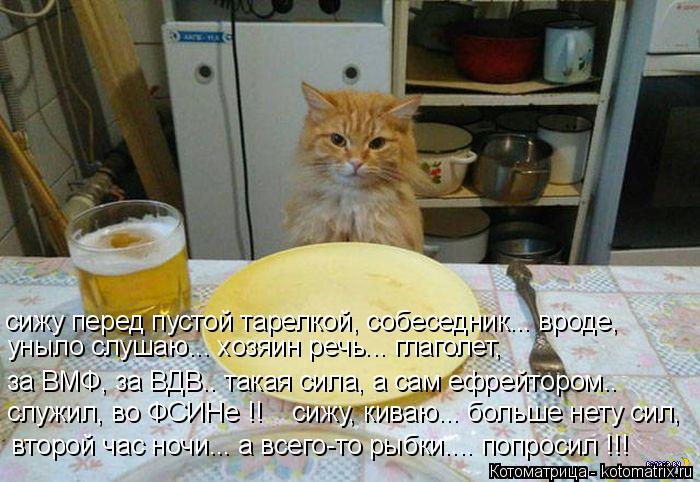Котоматрица: уныло слушаю... хозяин речь... глаголет, за ВМФ, за ВДВ.. такая сила, а сам ефрейтором.. служил, во ФСИНе !!    сижу, киваю... больше нету сил, второй 