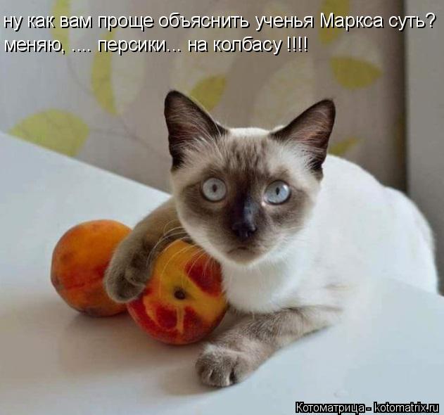 Котоматрица: ну как вам проще объяснить ученья Маркса суть? меняю, .... персики... на колбасу !!!!