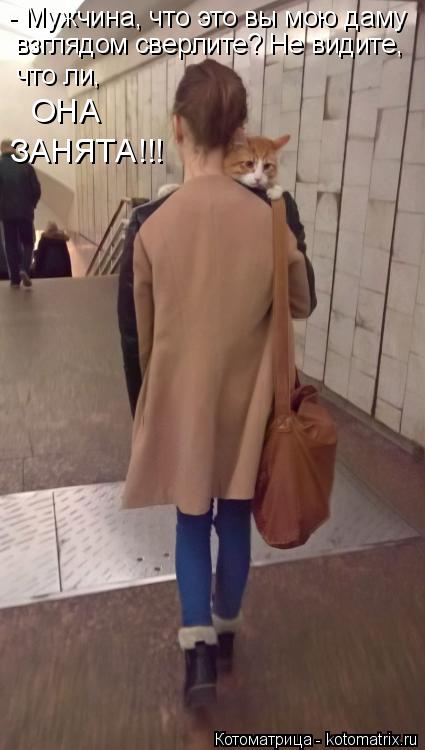 Котоматрица: - Мужчина, что это вы мою даму взглядом сверлите? Не видите,  что ли, ОНА  ЗАНЯТА!!!