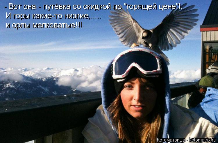 Котоматрица: - Вот она - путёвка со скидкой по "горящей цене"!... И горы какие-то низкие,..... и орлы мелковатые!!!