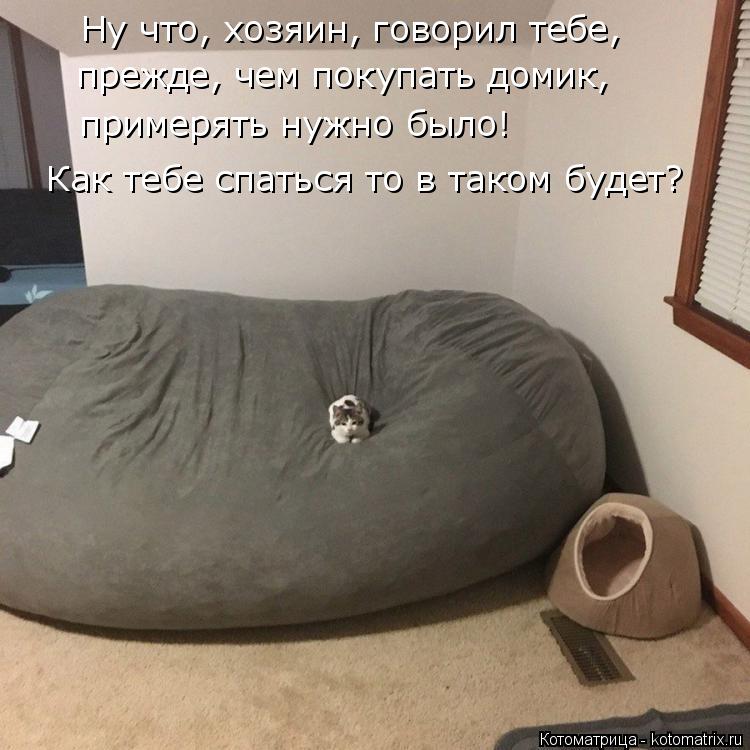 Котоматрица: Ну что, хозяин, говорил тебе,  прежде, чем покупать домик, примерять нужно было!  Как тебе спаться то в таком будет?