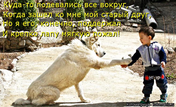Котоматрица: Куда-то подевались все вокруг, Когда зашел ко мне мой старый друг, Но я его, конечно, поддержал И крепко лапу мягкую пожал!