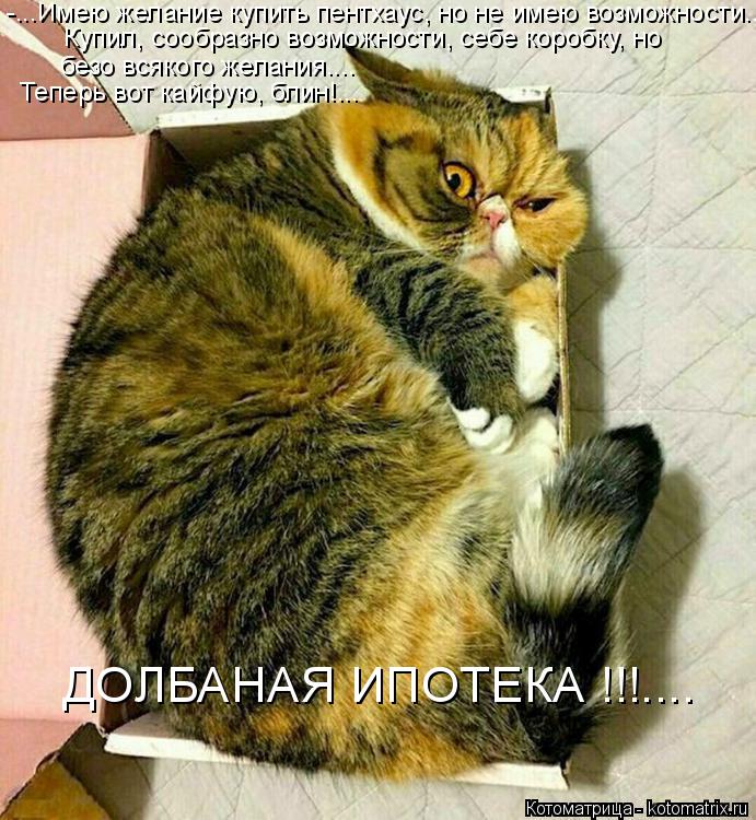 Котоматрица: ДОЛБАНАЯ ИПОТЕКА !!!....  -...Имею желание купить пентхаус, но не имею возможности...  Купил, сообразно возможности, себе коробку, но безо всякого 