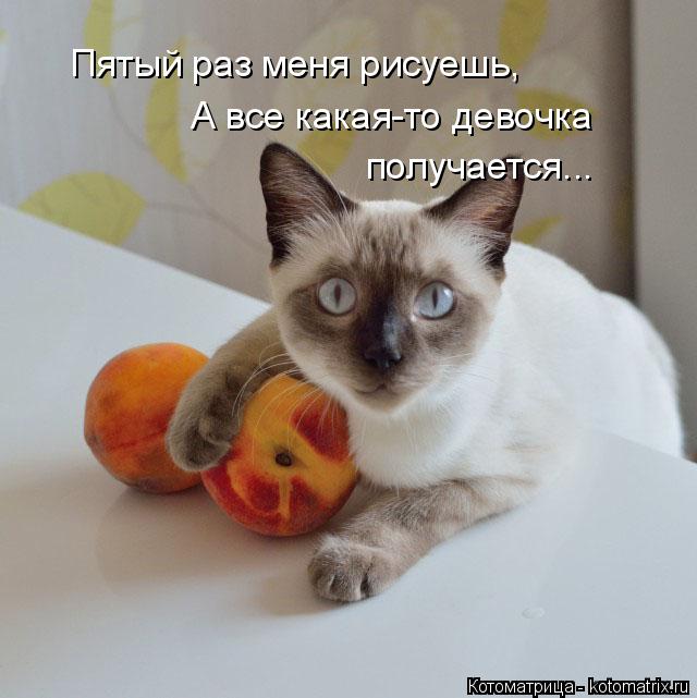 Котоматрица: Пятый раз меня рисуешь, А все какая-то девочка получается...