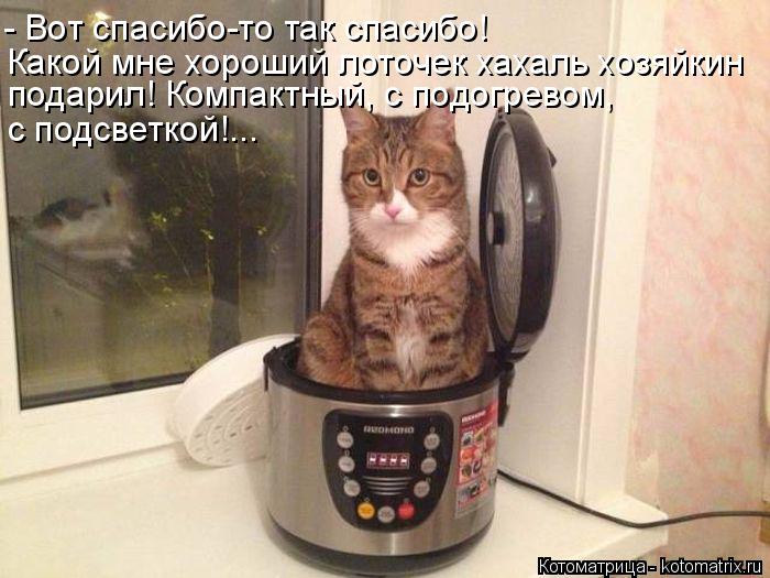 Котоматрица: - Вот спасибо-то так спасибо! Какой мне хороший лоточек хахаль хозяйкин  подарил! Компактный, с подогревом,  с подсветкой!...
