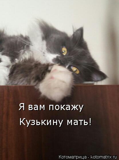 Я вам покажу Кузькину мать!... Котоматрица: Я вам покажу Кузькину мать!