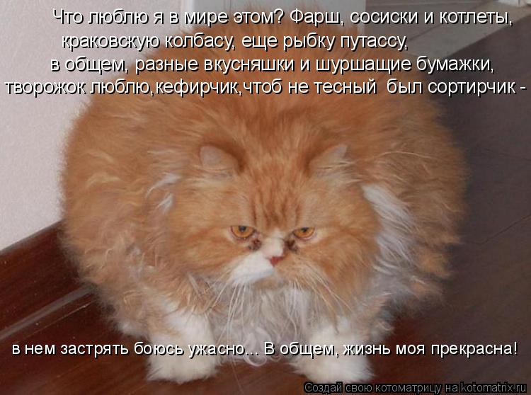 Что люблю я в мире этом? Фарш, сосиски и котлеты, творожок люблю,кефирчик,чтоб не тесный был сортир... Котоматрица: Что люблю я в мире этом? Фарш, сосиски и котлеты, творожок люблю,кефирчик,чтоб не тесный был сортирчик - в нем застрять боюсь ужасно... В обще