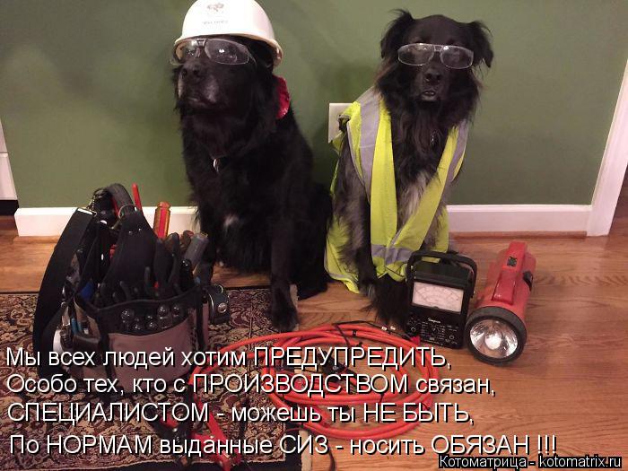 Мы всех людей хотим ПРЕДУПРЕДИТЬ, Особо тех, кто с ПРОИЗВОДСТВОМ связан, СПЕЦИАЛИСТОМ - можешь ты НЕ ... Котоматрица: Мы всех людей хотим ПРЕДУПРЕДИТЬ, Особо тех, кто с ПРОИЗВОДСТВОМ связан, СПЕЦИАЛИСТОМ - можешь ты НЕ БЫТЬ, По НОРМАМ выданные СИЗ - носить ОБЯ