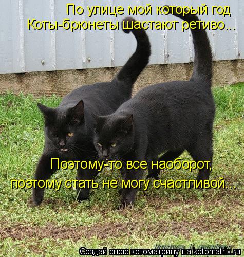 По улице мой который год Коты-брюнеты шастают ретиво... Поэтому-то все наоборот, поэтому стать не мо... Котоматрица: По улице мой который год Коты-брюнеты шастают ретиво... Поэтому-то все наоборот, поэтому стать не могу счастливой...
