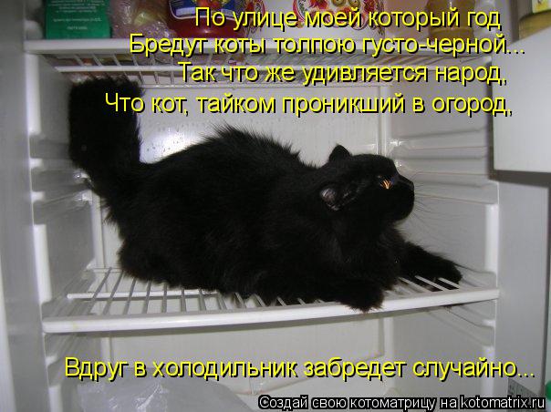 По улице моей который год Бредут коты толпою густо-черной... Так что же удивляется народ, Что кот, та... Котоматрица: По улице моей который год Бредут коты толпою густо-черной... Так что же удивляется народ, Что кот, тайком проникший в огород, Вдруг в холодиль