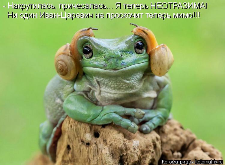 - Накрутилась, причесалась... Я теперь НЕОТРАЗИМА! Ни один Иван-Царевич не проскочит теперь мимо!!!... Котоматрица: - Накрутилась, причесалась... Я теперь НЕОТРАЗИМА! Ни один Иван-Царевич не проскочит теперь мимо!!!