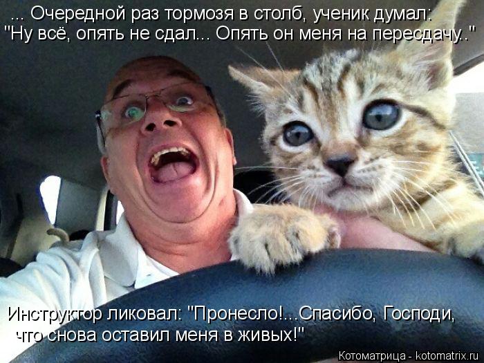 Котоматрица: ... Очередной раз тормозя в столб, ученик думал: "Ну всё, опять не сдал... Опять он меня на пересдачу.."  Инструктор ликовал: "Пронесло!...Спасибо, 