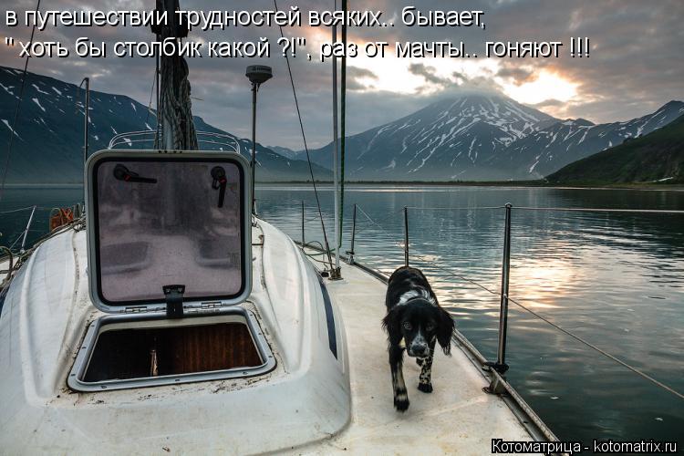 в путешествии трудностей всяких.. бывает, " хоть бы столбик какой ?!", раз от мачты.. гоняют !!!... Котоматрица: в путешествии трудностей всяких.. бывает, " хоть бы столбик какой ?!", раз от мачты.. гоняют !!!