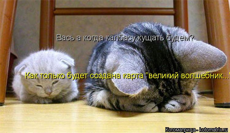 Вась а когда калбасу кущать будем? Как только будет создана карта "великий волшебник..."... Котоматрица: Вась а когда калбасу кущать будем? Как только будет создана карта "великий волшебник..."