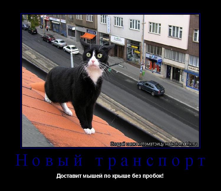 Новый транспорт Доставит мышей по крыше без пробок!... Котоматрица: Новый транспорт Доставит мышей по крыше без пробок!