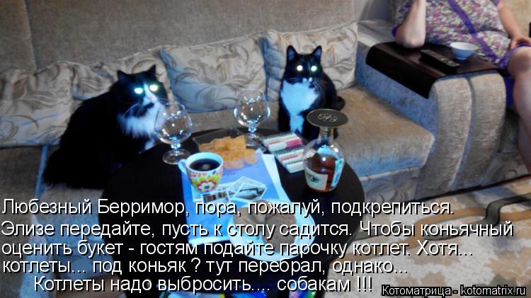 Котлеты надо выбросить.... собакам !!! Любезный Берримор, пора, пожалуй, подкрепиться. Элизе передайт... Котоматрица: Котлеты надо выбросить.... собакам !!! Любезный Берримор, пора, пожалуй, подкрепиться. Элизе передайте, пусть к столу садится. Чтобы коньячный