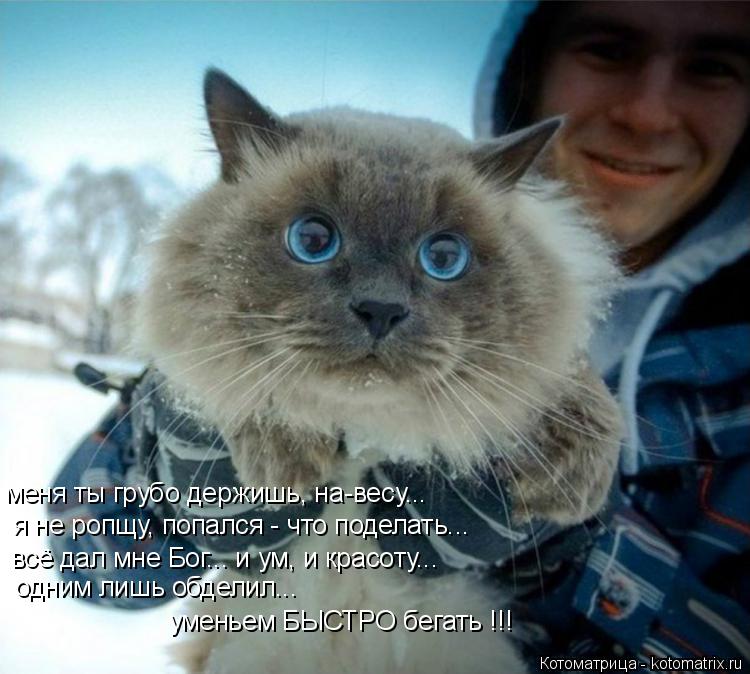 меня ты грубо держишь, на-весу... я не ропщу, попался - что поделать... всё дал мне Бог... и ум, и кр... Котоматрица: меня ты грубо держишь, на-весу... я не ропщу, попался - что поделать... всё дал мне Бог... и ум, и красоту... одним лишь обделил... уменьем БЫСТРО бег