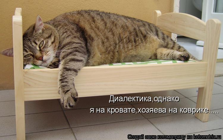 Диалектика,однако я на кровате,хозяева на коврике........ Котоматрица: Диалектика,однако я на кровате,хозяева на коврике.....