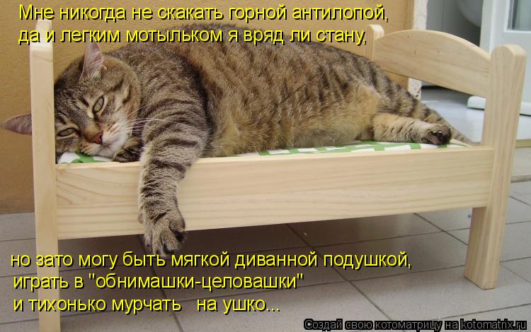 Мне никогда не скакать горной антилопой, да и легким мотыльком я вряд ли стану, но зато могу быть м... Котоматрица: Мне никогда не скакать горной антилопой, да и легким мотыльком я вряд ли стану, но зато могу быть мягкой диванной подушкой, играть в "обним