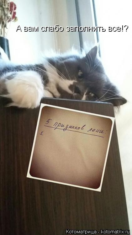 А вам слабо заполнить все!?... Котоматрица: А вам слабо заполнить все!?