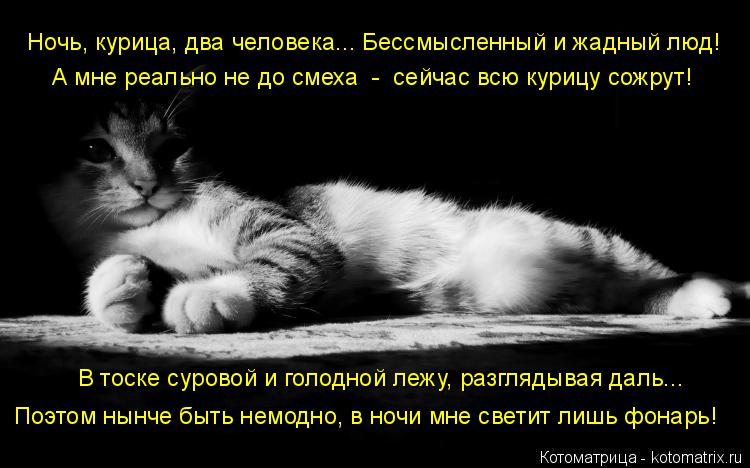 Ночь, курица, два человека... Бессмысленный и жадный люд! А мне реально не до смеха - сейчас всю ку... Котоматрица: Ночь, курица, два человека... Бессмысленный и жадный люд! А мне реально не до смеха - сейчас всю курицу сожрут! В тоске суровой и голодной леж