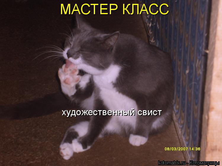 МАСТЕР КЛАСС художественный свист... Котоматрица: МАСТЕР КЛАСС художественный свист