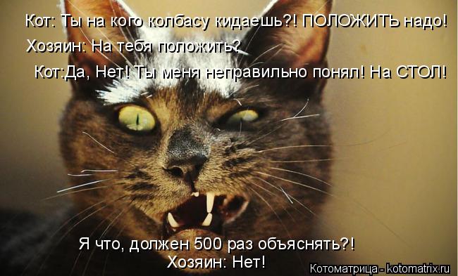 Кот: Ты на кого колбасу кидаешь?! ПОЛОЖИТЬ надо! Хозяин: На тебя положить? Кот:Да, Нет! Ты меня непра... Котоматрица: Кот: Ты на кого колбасу кидаешь?! ПОЛОЖИТЬ надо! Хозяин: На тебя положить? Кот:Да, Нет! Ты меня неправильно понял! На СТОЛ! Я что, должен 500 раз о