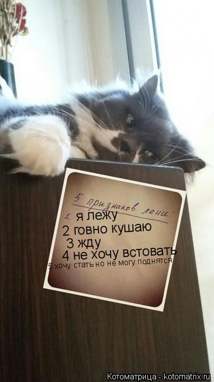 я лежу 2 говно кушаю 3 жду 4 не хочу встовать 5 хочу стать но не могу поднятся... Котоматрица: я лежу 2 говно кушаю 3 жду 4 не хочу встовать 5 хочу стать но не могу поднятся
