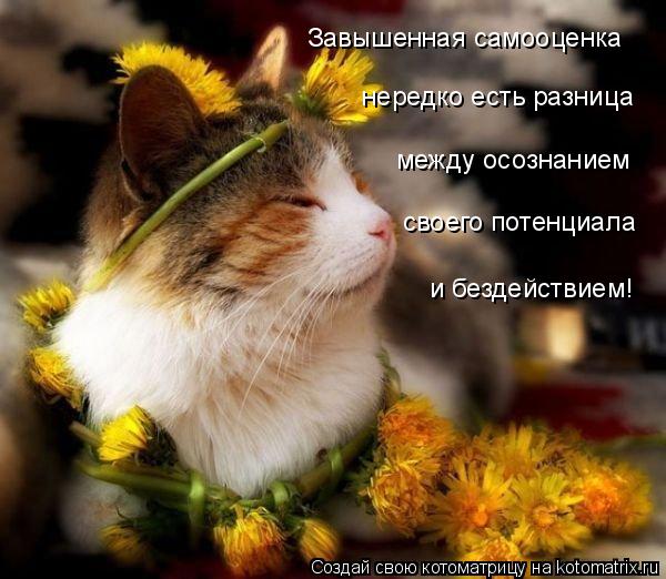 Завышенная самооценка нередко есть разница между осознанием своего потенциала и бездействием!... Котоматрица: Завышенная самооценка нередко есть разница между осознанием своего потенциала и бездействием!