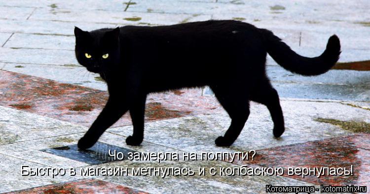 Котоматрица: Чо замерла на полпути? Быстро в магазин метнулась и с колбаскою вернулась!