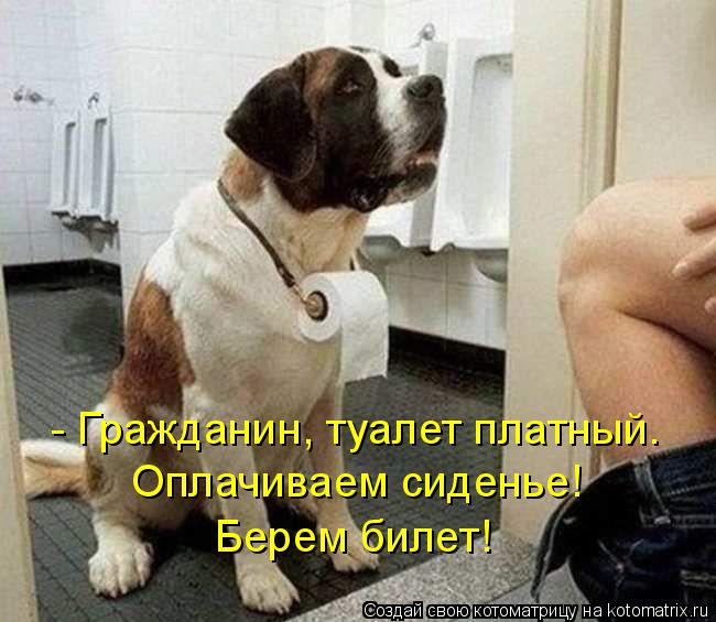 - Гражданин, туалет платный. Оплачиваем сиденье! Берем билет!... Котоматрица: - Гражданин, туалет платный. Оплачиваем сиденье! Берем билет!