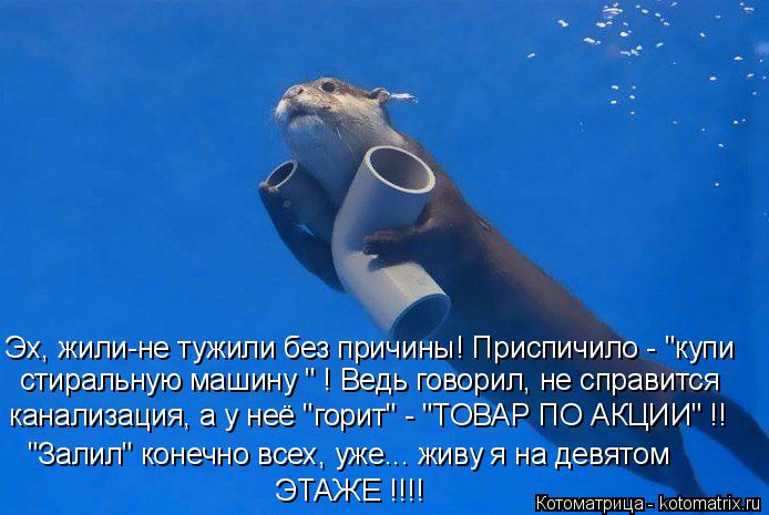 стиральную машину " ! Ведь говорил, не справится Эх, жили-не тужили без причины! Приспичило - "купи к... Котоматрица: стиральную машину " ! Ведь говорил, не справится Эх, жили-не тужили без причины! Приспичило - "купи канализация, а у неё "горит" - "ТОВАР ПО АКЦИИ