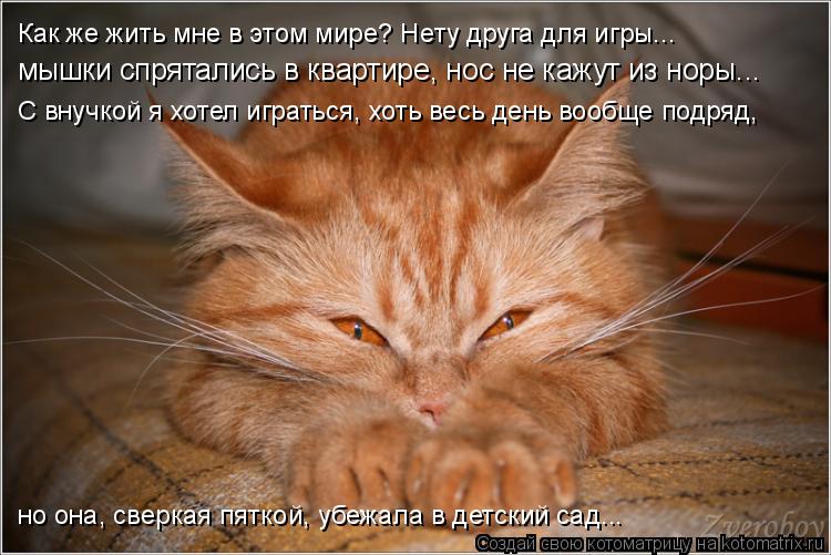 мышки спрятались в квартире, нос не кажут из норы... С внучкой я хотел играться, хоть весь день вообщ... Котоматрица: мышки спрятались в квартире, нос не кажут из норы... С внучкой я хотел играться, хоть весь день вообще подряд, Как же жить мне в этом мире? Нет