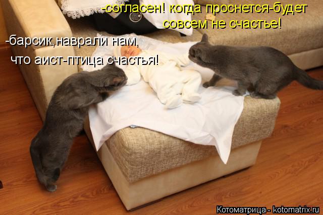 -барсик,наврали нам, что аист-птица счастья! -согласен! когда проснется-будет совсем не счастье!... Котоматрица: -барсик,наврали нам, что аист-птица счастья! -согласен! когда проснется-будет совсем не счастье!