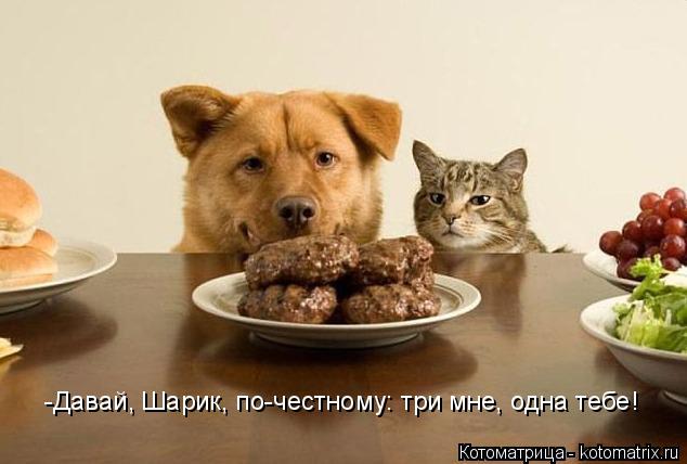 -Давай, Шарик, по-честному: три мне, одна тебе!... Котоматрица: -Давай, Шарик, по-честному: три мне, одна тебе!