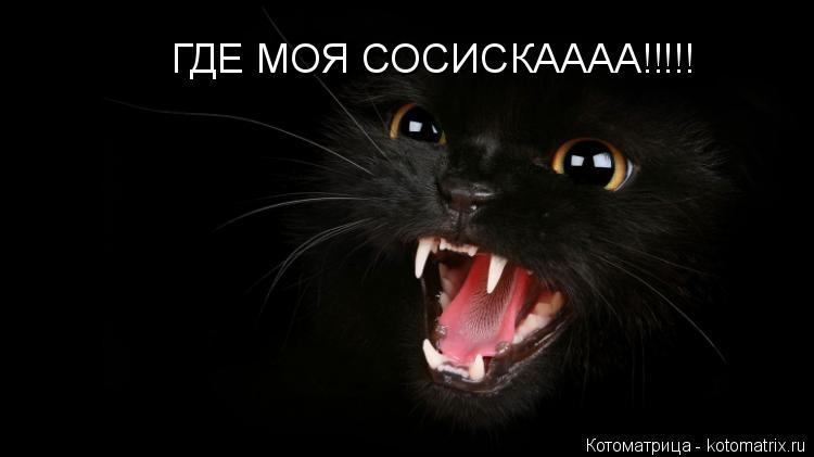 Котоматрица: ГДЕ МОЯ СОСИСКАААА!!!!!